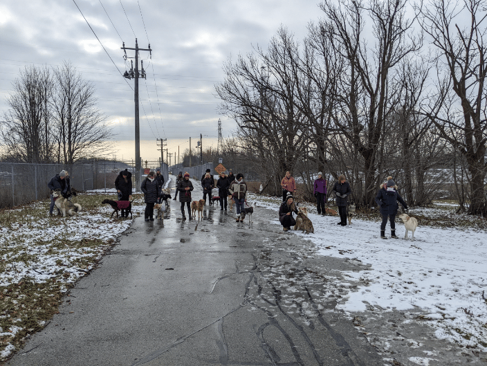 Packwalk