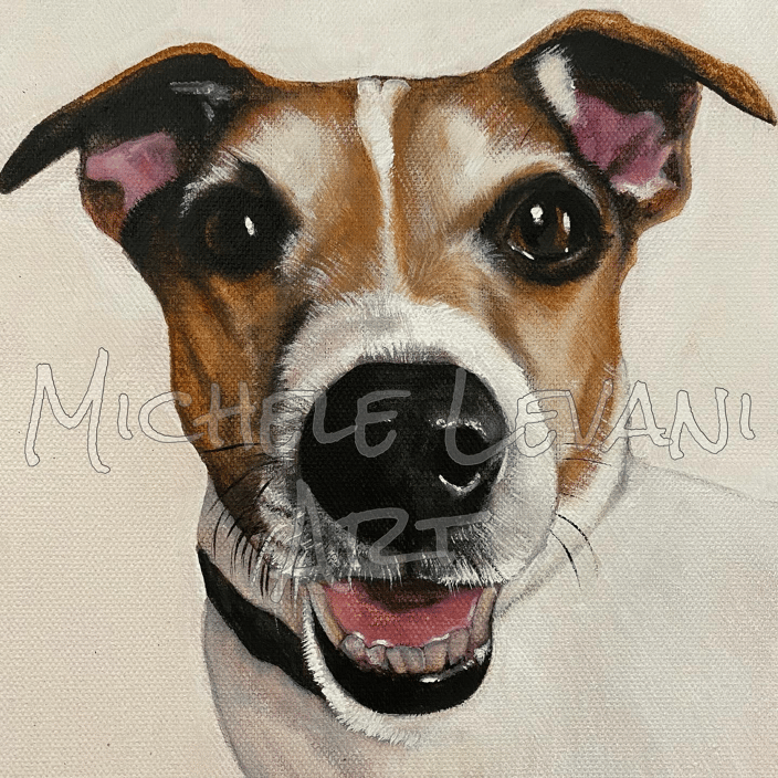 Jack Russell Terrier by Michele Levani