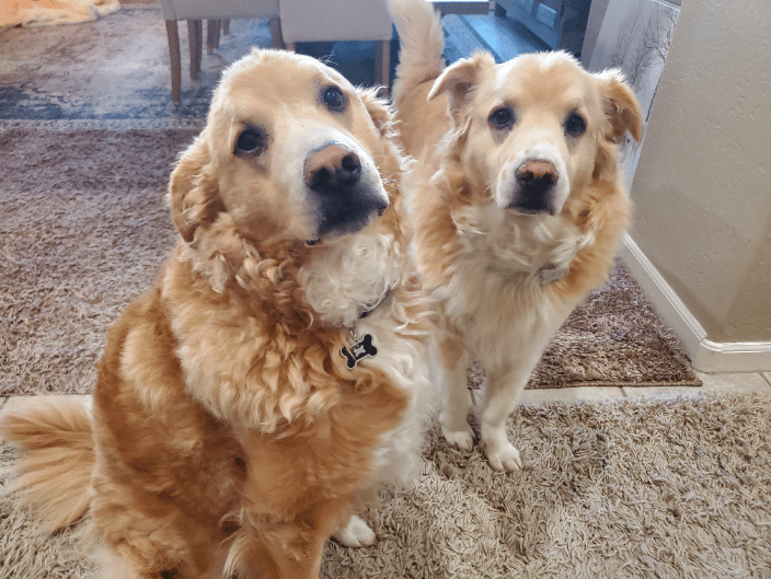 Twinsies! 