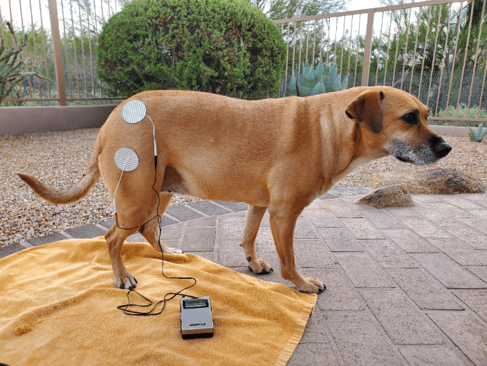 Electrical Stimulation to help reeducate muscle development. 