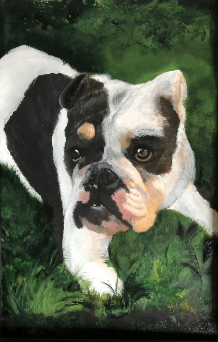 Dog Portrait Sample