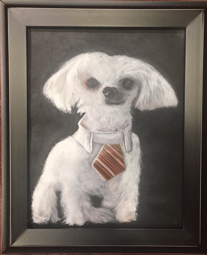 Dog Sample Portrait