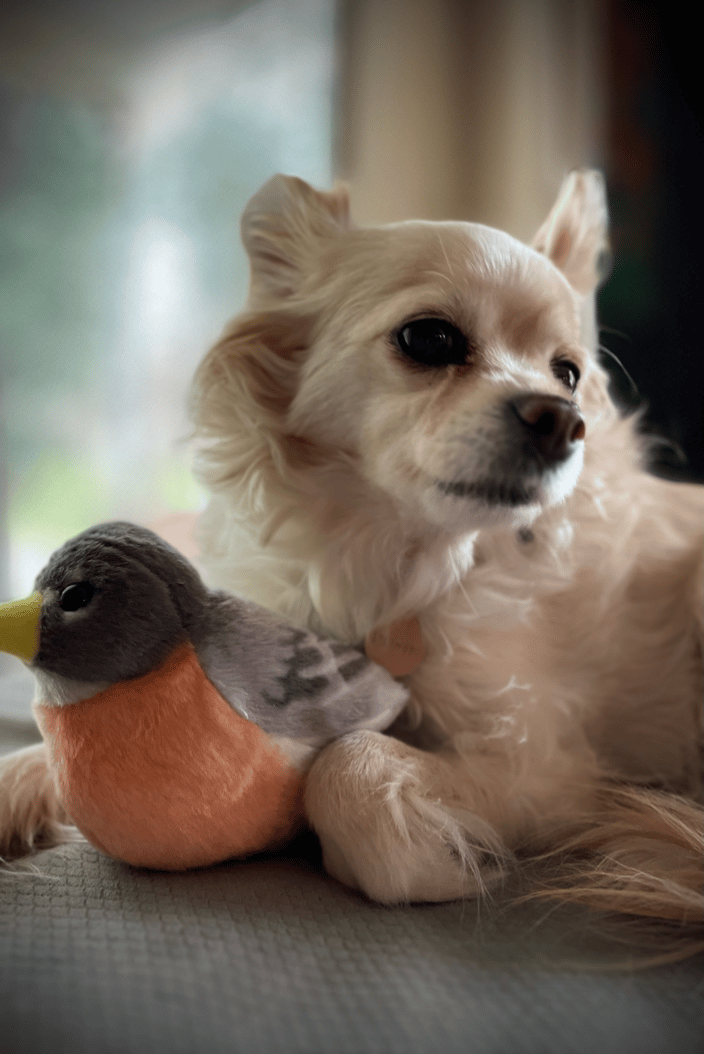 Rosie and her bird