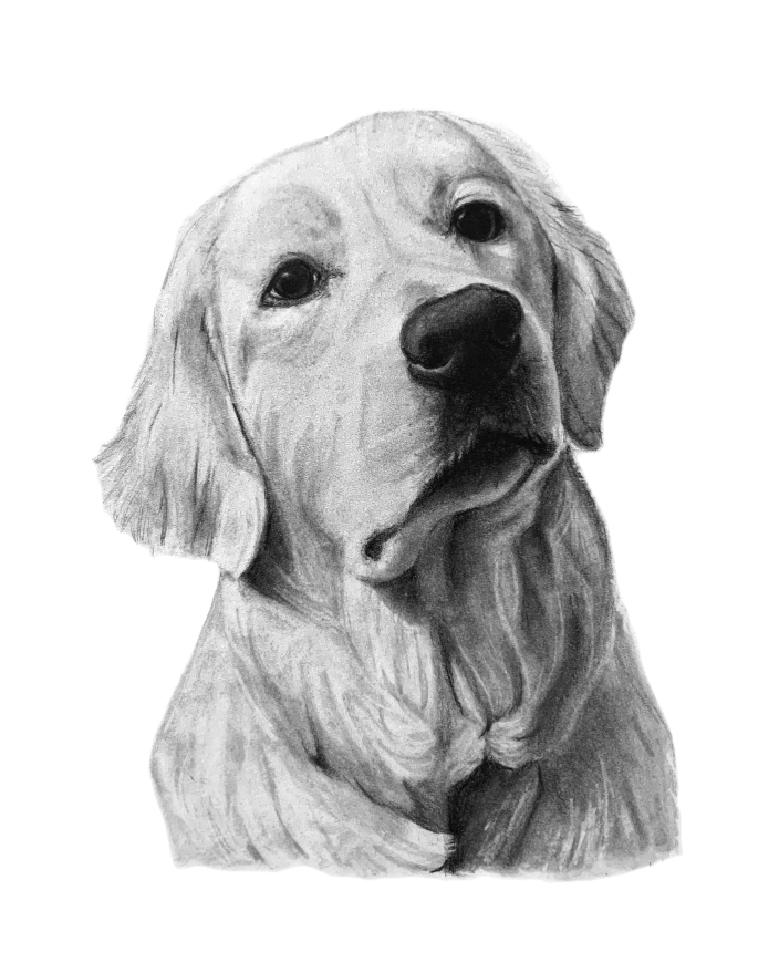 Sample Pet Portrait