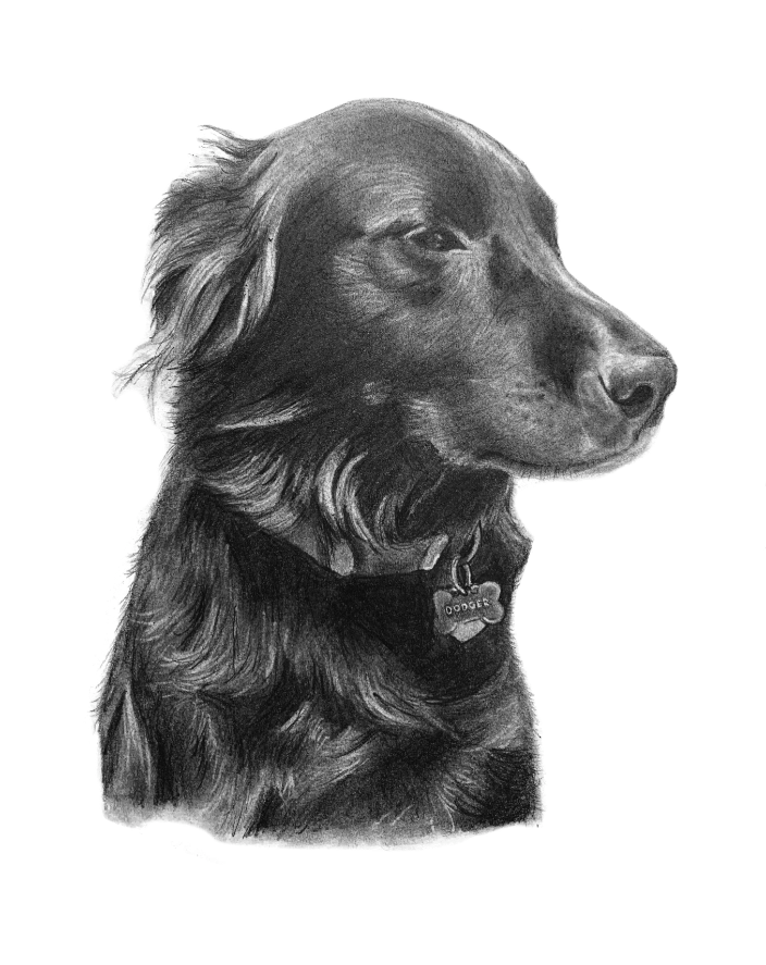 Sample Pet Portrait