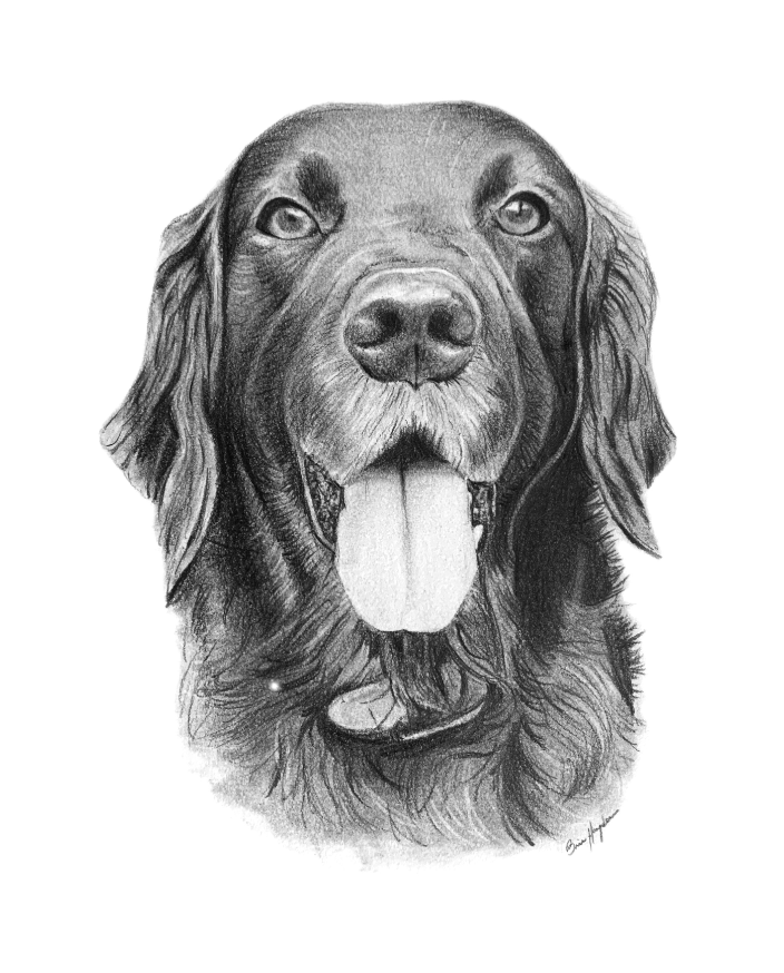 Sample Pet Portrait
