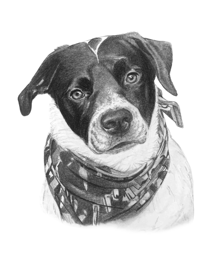 Sample Pet Portrait