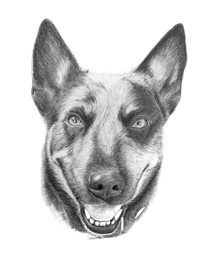 Sample Pet Portrait