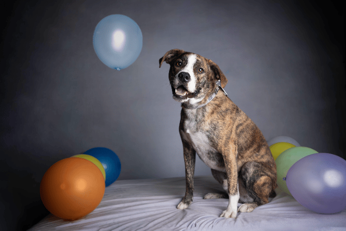 Puppy, one of my clients.