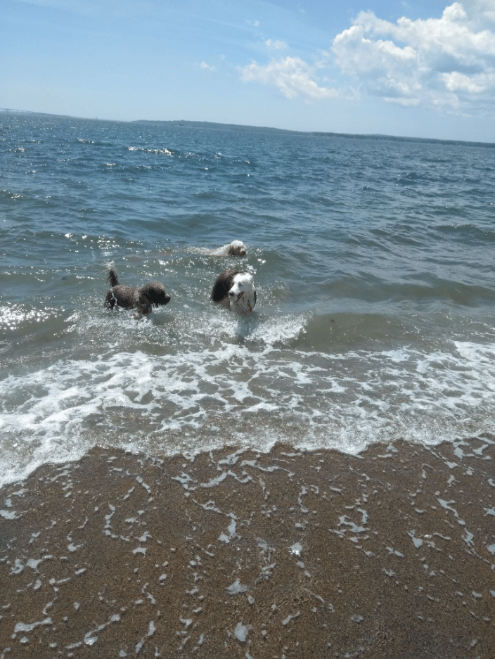 Beach Day