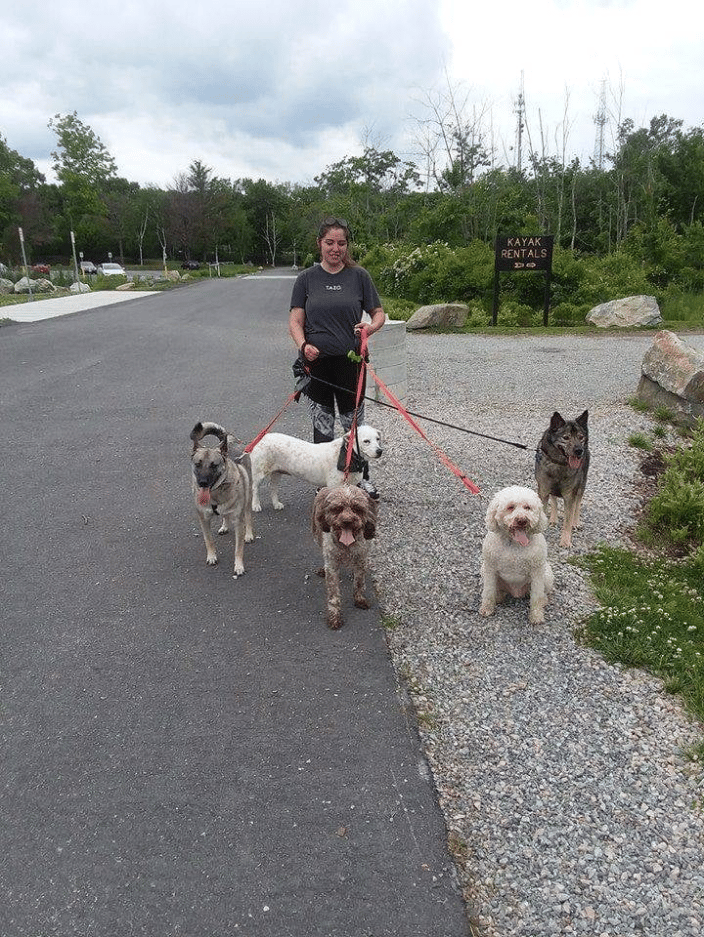 Pack Walk
