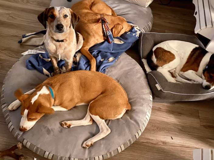 Nap Pack