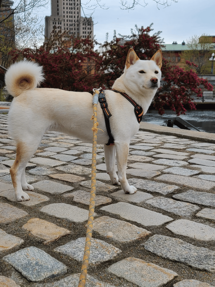 Waterfront Walks