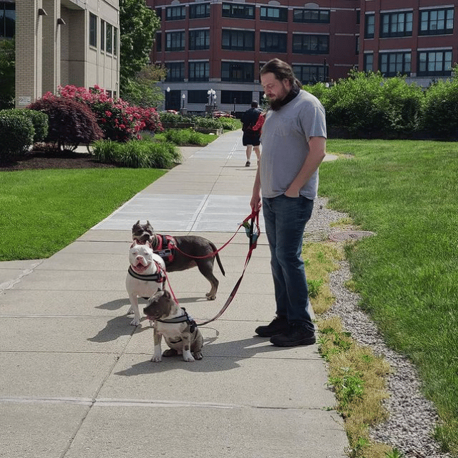 Triple Pibble