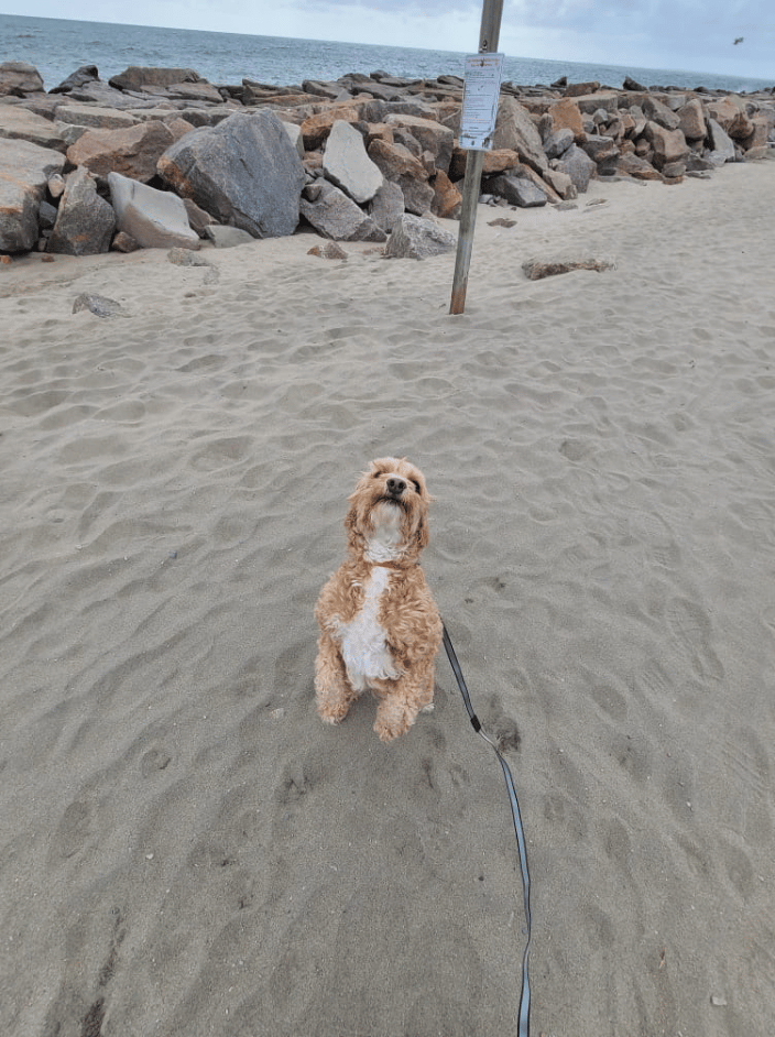 Beach Day