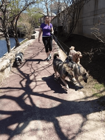 Pack Walk
