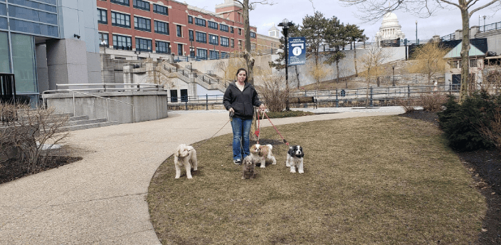 Pack Walk