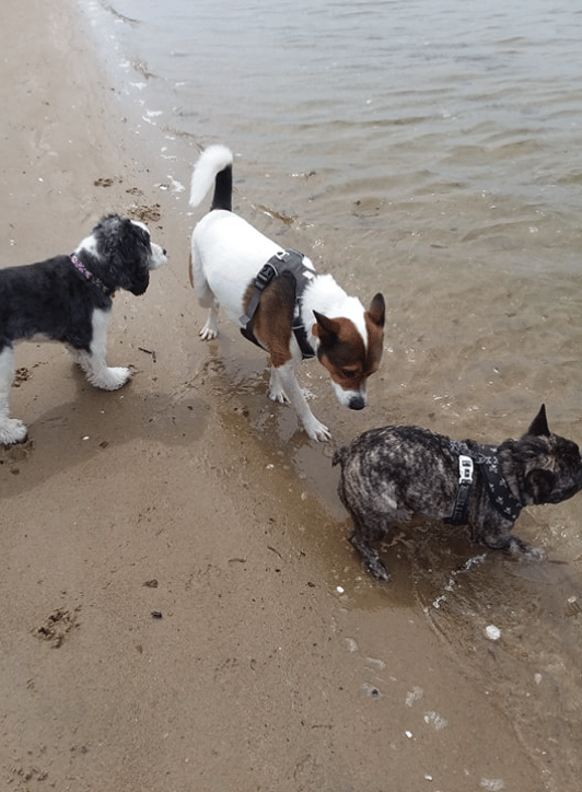 Beach Day