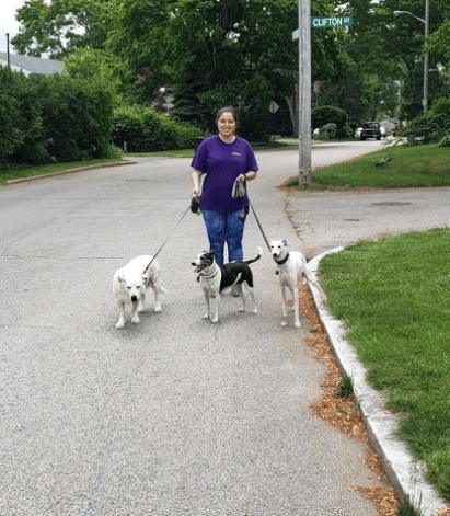 Pack Walk