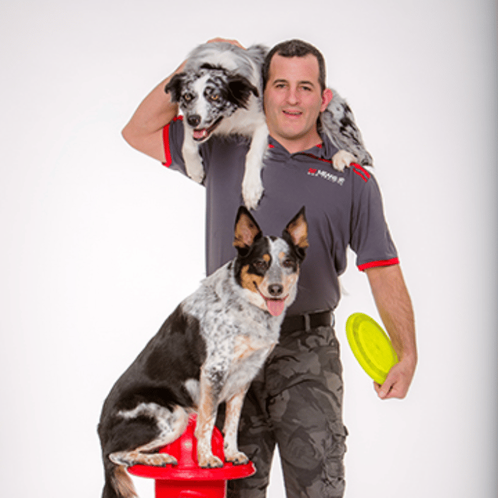 https://www.petworks.com/cdn-cgi/image/width=1600,quality=80/https://assets.petworks.com/images/listing_images/images/1302602/original/croppedimage69_neil_together_with_two_dogs_hydrant.png?1645083221
