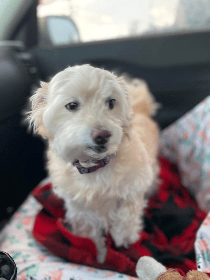 Marley is on his way to Pheonix, Arizona