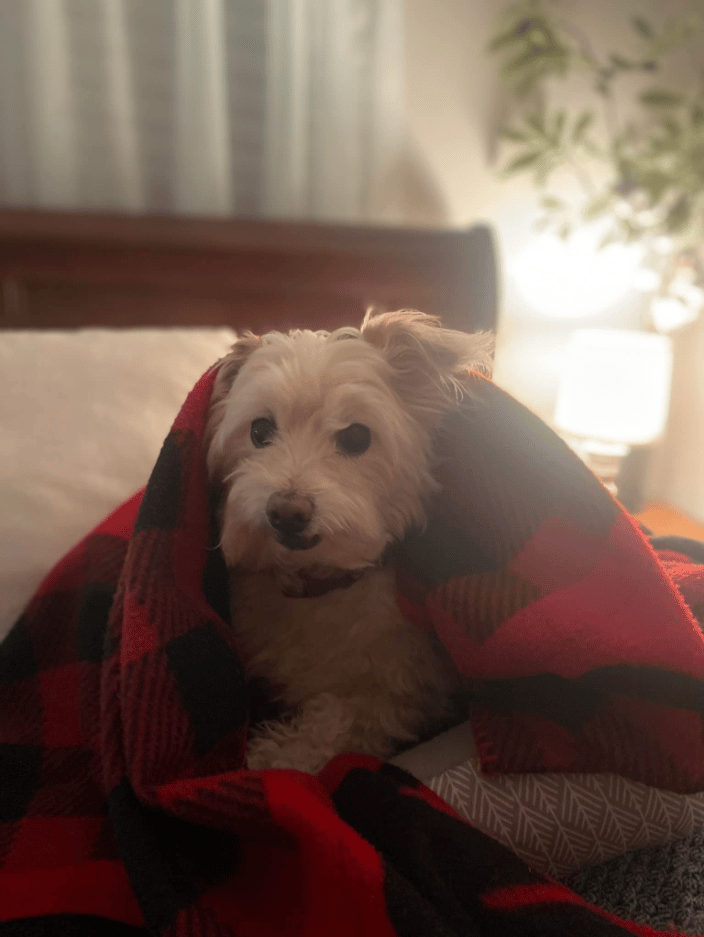 Marley