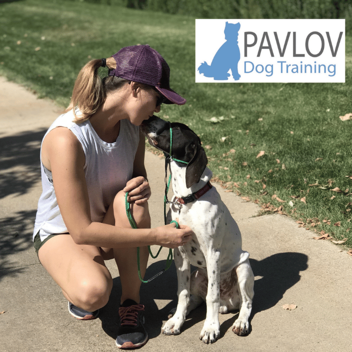 Pavlov Dog Training Highlands Ranch