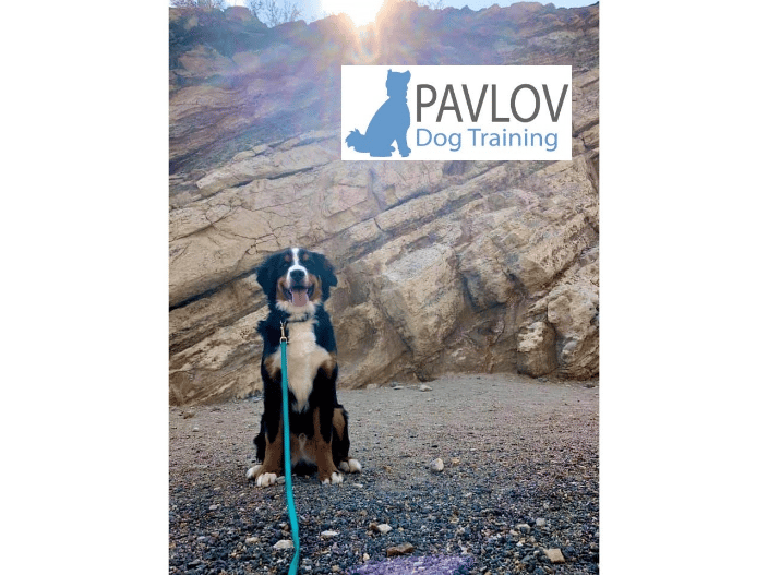 Obedience 1, On-Leash Program at Red Rocks, Pavlov