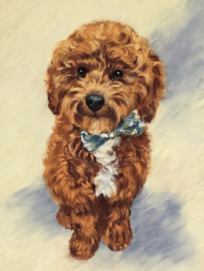 This is Teddy! Commissioned in PA as a gift for his lovely pet parent in Harrisburg!