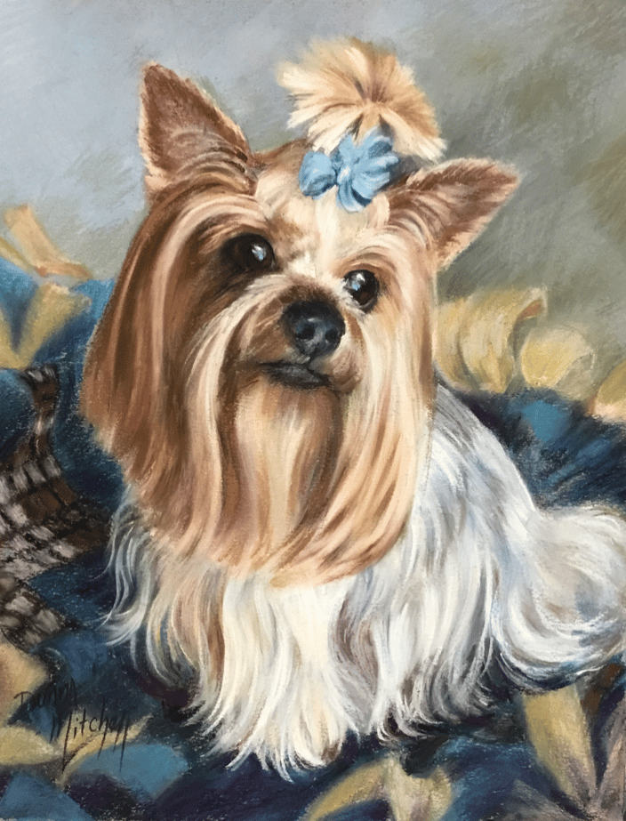Toby! A cute little Yorkie commissioned by his own pet Parents in Harrisburg, PA for their own pleasure!