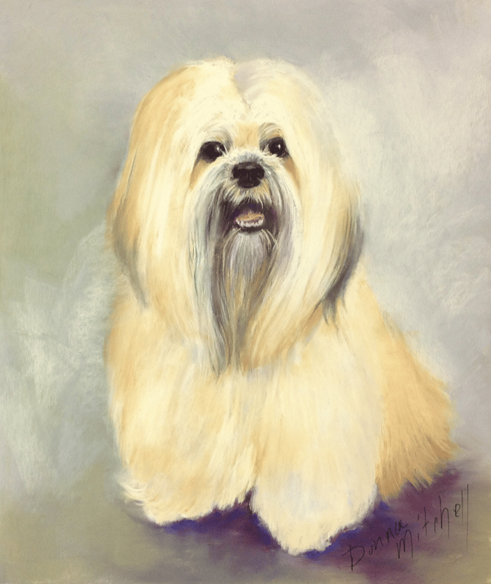 This is Sam! Commissioned from Yuma, Arizona! Pastel painting,  14 x 11” in size