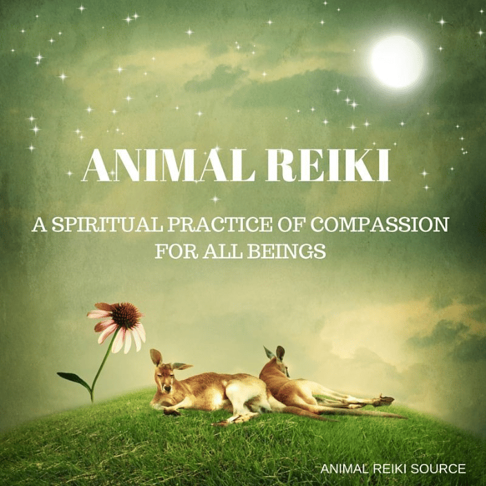 Animal Reiki (Distance or In Home) - Syracuse, NY