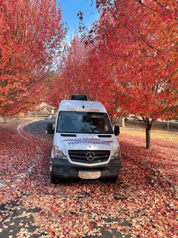 Mobile Van