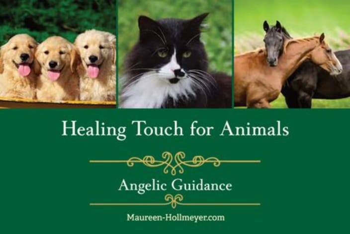 Healing Touch for Animals - Animal Reiki Care - Cincinnati, OH