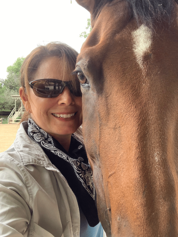 Horse reiki