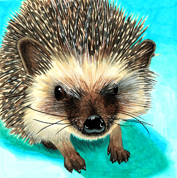 Quilliam