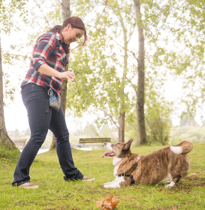 Cathy practicing tricks off leash at park with her dog Sookie