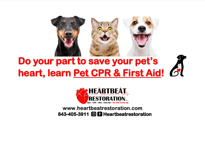 HBR Pet Logo