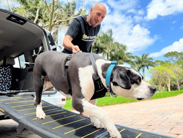 Pet Moving with The Pet Taxi
