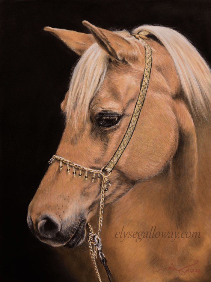Palomino. Soft Pastel. 12x16 inches. Mar2022. $431.20