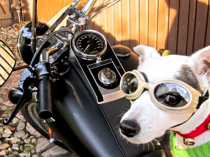 Adventurous Annie!