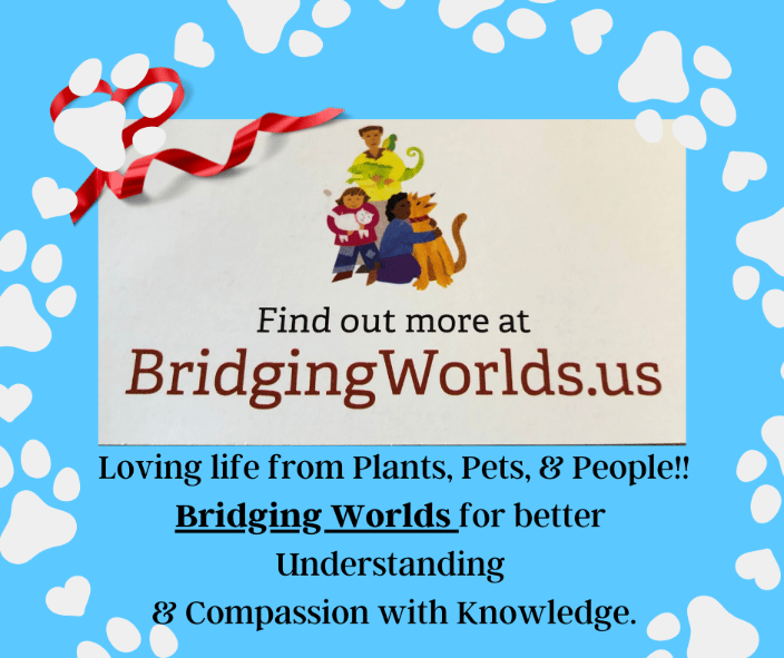 Bridging Worlds!