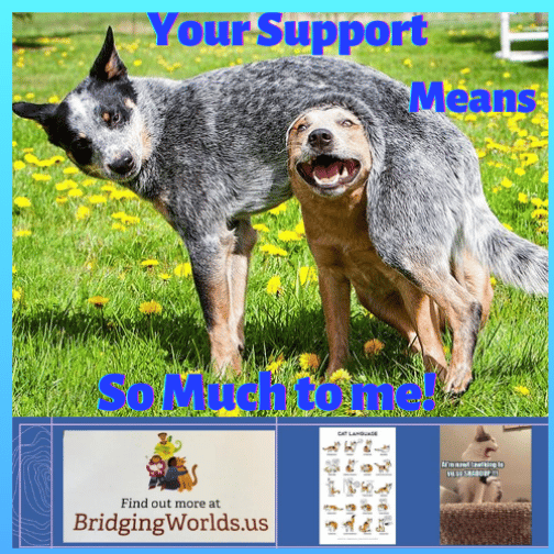 Your Support!!