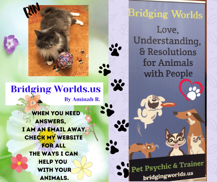 Pet Psychic & People Trainer
