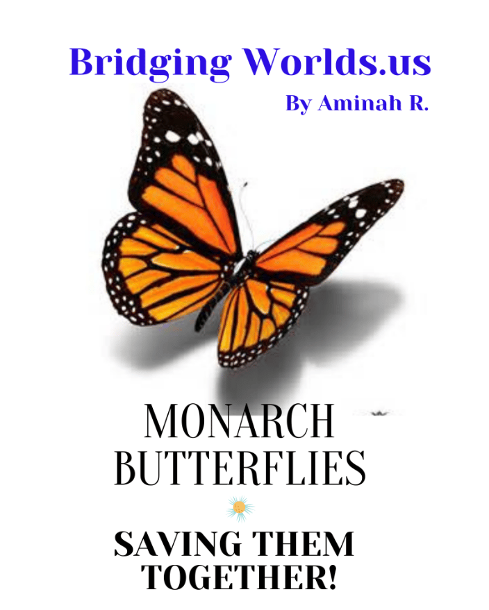 Articles & Topics I've written.