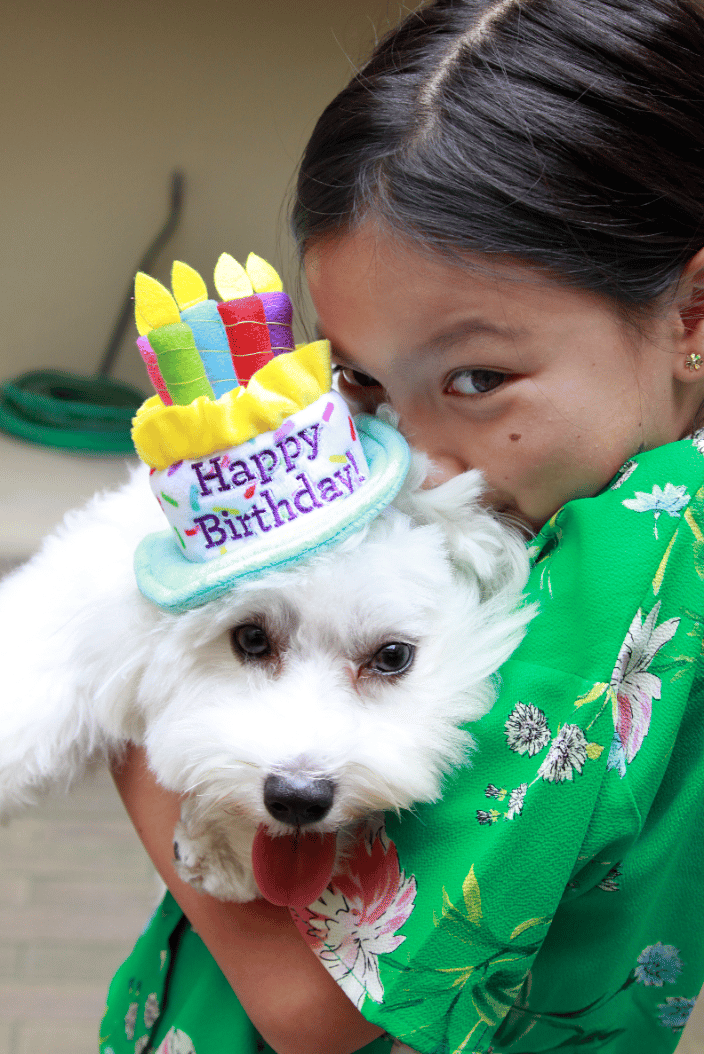 Mike's First Birthday 2018