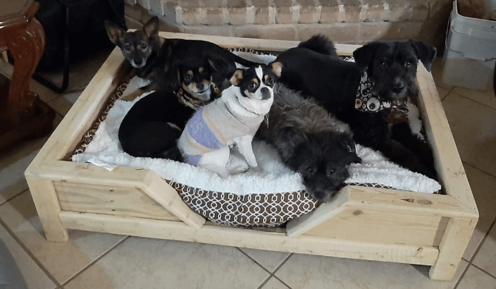 Bark N Breakfast