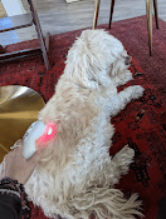 Cold Laser Session