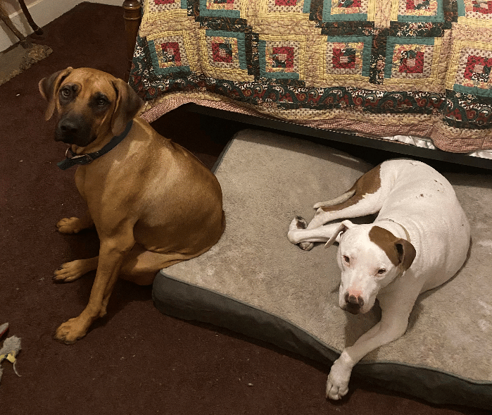 Zara and Daisy