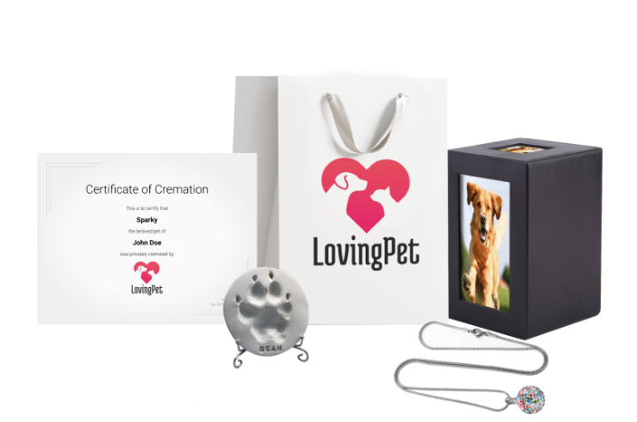 One of our Bundles
